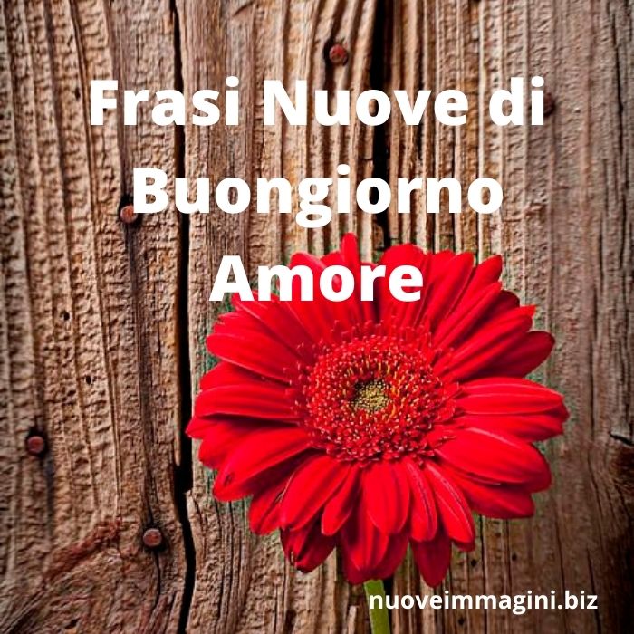42 Immagini E Frasi Nuove Di Buongiorno Amore Nuove Immagini
